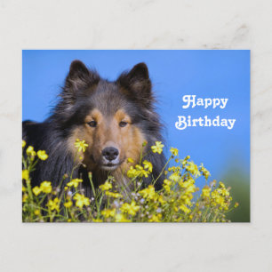 Sheltie Bloemen Foto Verjaardag Briefkaart