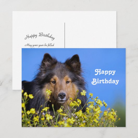 Sheltie Bloemen Foto Verjaardag Briefkaart (Voorkant / Achterkant)