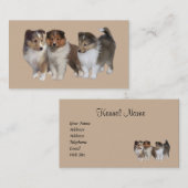 Sheltie Breeder Visitekaartje (Voorkant / Achterkant)