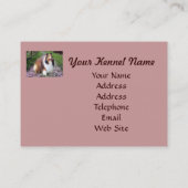 Sheltie Breeder Visitekaartje (Achterkant)