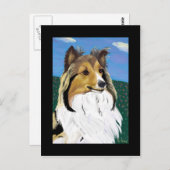 Sheltie briefkaart (Voorkant / Achterkant)