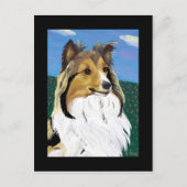 Sheltie briefkaart (Voorkant)
