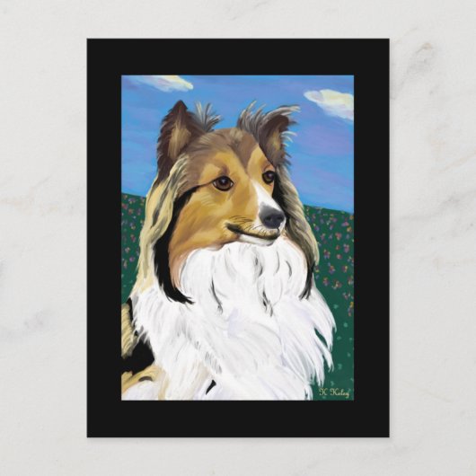 Sheltie briefkaart (Voorkant)