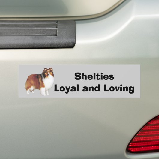 Sheltie Bumpersticker (Op auto)