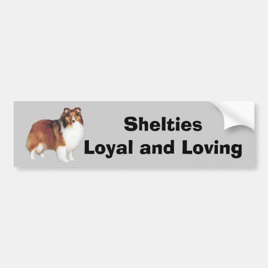 Sheltie Bumpersticker (Voorkant)