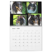 Sheltie Calendar Kalender (Mar 2027)
