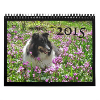 Sheltie Calendar Kalender