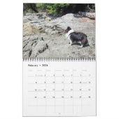 Sheltie Calendar Kalender (Feb 2026)