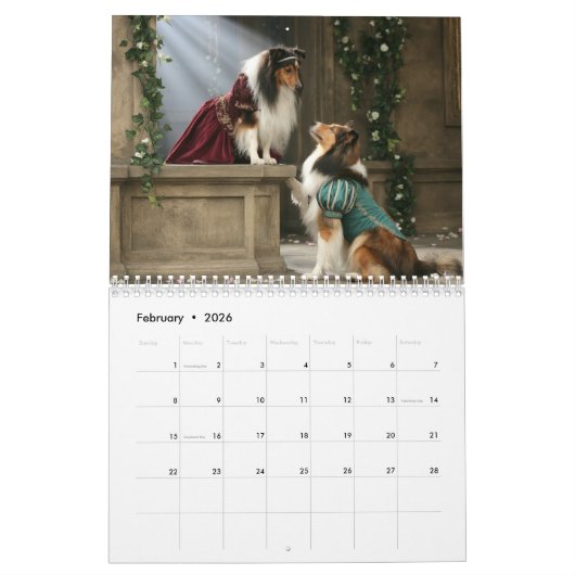 Sheltie Calendar Kalender (Feb 2026)