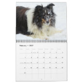 Sheltie Calendar Kalender (Feb 2027)