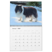 Sheltie Calendar Kalender (Jan 2027)