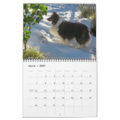 Sheltie Calendar Kalender (Mar 2027)