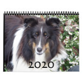 Sheltie Calendar Kalender (Hoes)