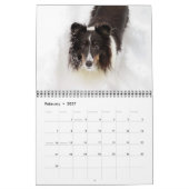 Sheltie Calendar Kalender (Feb 2027)
