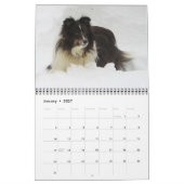 Sheltie Calendar Kalender (Jan 2027)