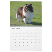 Sheltie Calendar Kalender (Mar 2027)