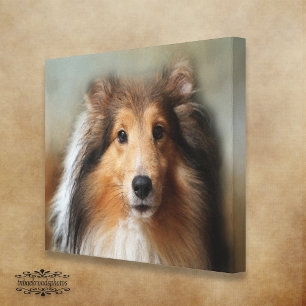 Sheltie Canine Canvas Afdruk