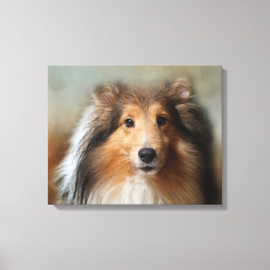 Sheltie Canine Canvas Afdruk (Voorkant)