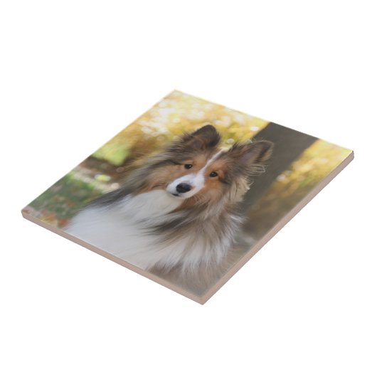 Sheltie Ceramic Tile Tegeltje (Zijkant)