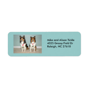 Sheltie Champs. Etiket