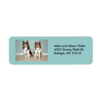 Sheltie Champs. Etiket