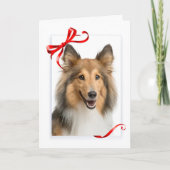Sheltie Christmas Kaart (Voorkant)