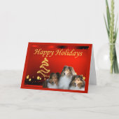 Sheltie Christmas Kaart Stars (Voorkant)