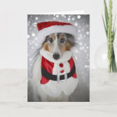 Sheltie de Kerstman Feestdagen Kaart (Voorkant)