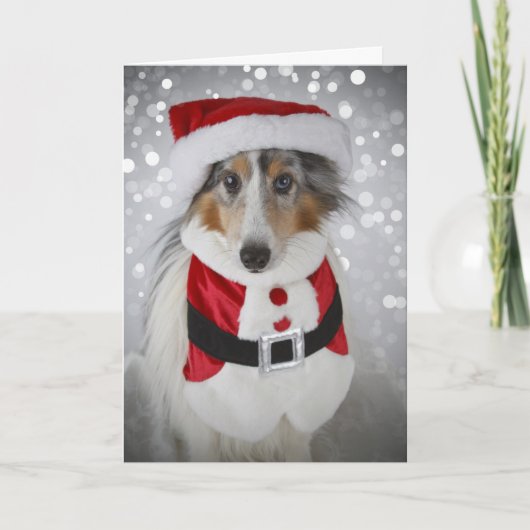 Sheltie de Kerstman Feestdagen Kaart (Voorkant)