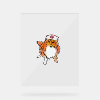 Sheltie Dog in Nurse Pet – animalsinhats Classic T Acryl Bord