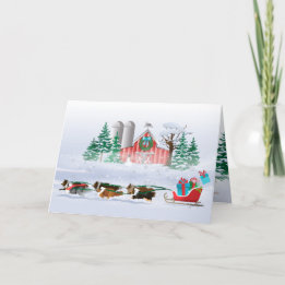 Sheltie Dogs Brown, Black and Grey, Pulling Sleigh Feestdagen Kaart