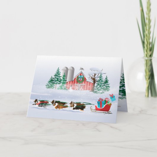Sheltie Dogs Brown, Black and Grey, Pulling Sleigh Feestdagen Kaart (Voorkant)