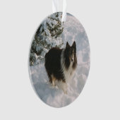 Sheltie en Husky Fun in de sneeuw Ornament (voorkant)