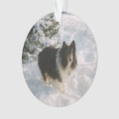 Sheltie en Husky Fun in de sneeuw Ornament (voorkant)