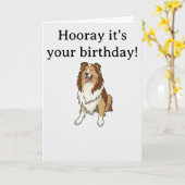 Sheltie glimlacht kaart (Gele Bloem)