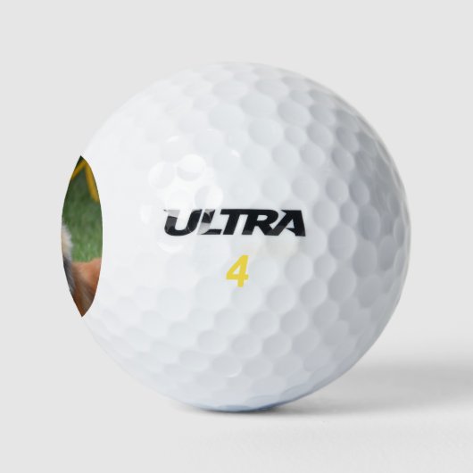 Sheltie Golfballen (Logo)