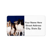 Sheltie Group Etiket (Voorkant)