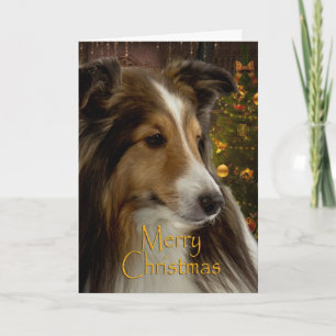 Sheltie Holiday Card Feestdagen Kaart
