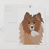 Sheltie hond briefkaart (Voorkant / Achterkant)