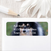 Sheltie hond retour adreslabel etiket (Insitu)