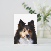 Sheltie Hond schilderij schets Briefkaart (Staand voorkant)