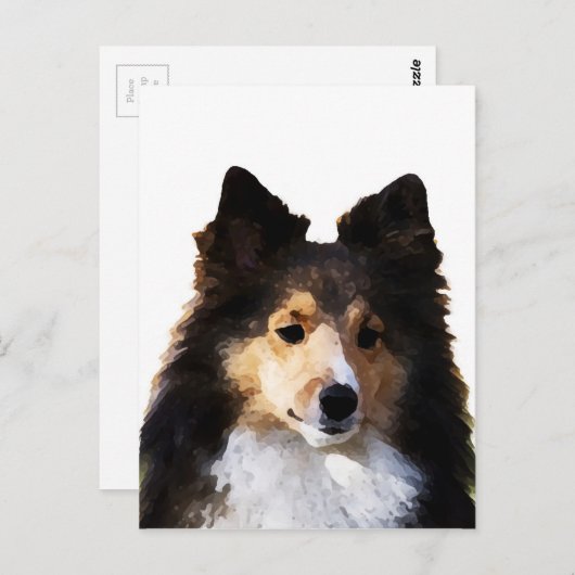 Sheltie Hond schilderij schets Briefkaart (Voorkant / Achterkant)