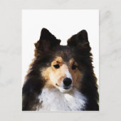 Sheltie Hond schilderij schets Briefkaart (Voorkant)