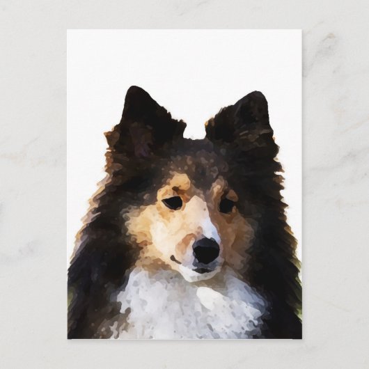 Sheltie Hond schilderij schets Briefkaart (Voorkant)