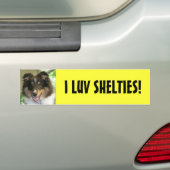 Sheltie, ik HOU VAN SHELTIES! Bumpersticker (Op auto)