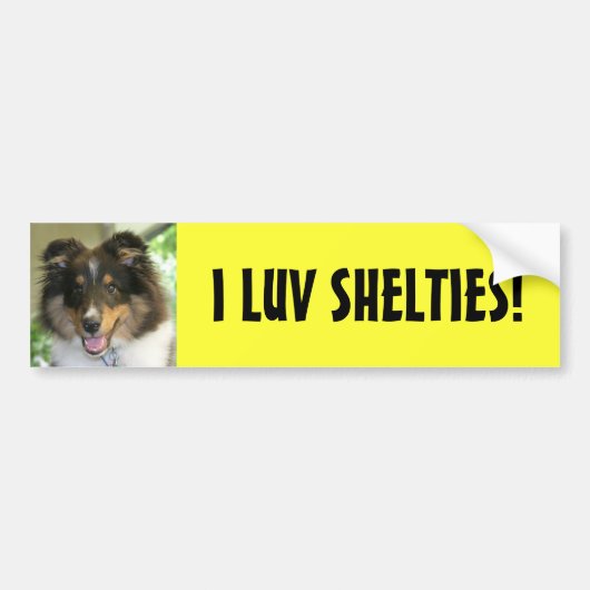 Sheltie, ik LUV SHELTIES. Bumpersticker (Voorkant)