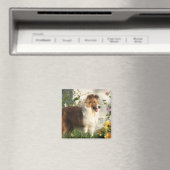 Sheltie in bloemen magneet (Insitu (Vaatwasser))