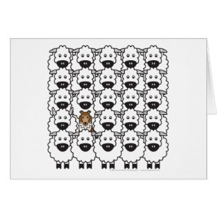 Sheltie in de schapen