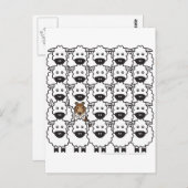 Sheltie in de schapen briefkaart (Voorkant / Achterkant)