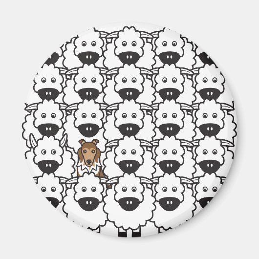 Sheltie in de schapen magneet (Voorkant)